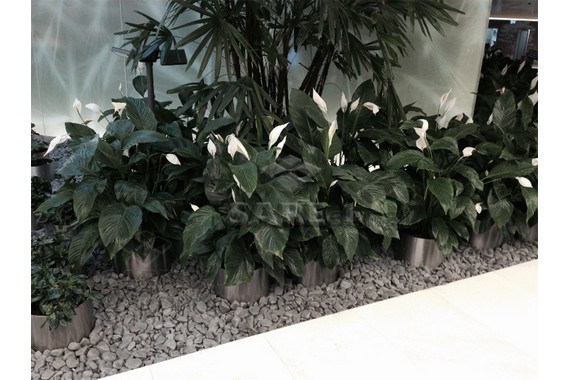 ÜRÜN KODU: SKS1004